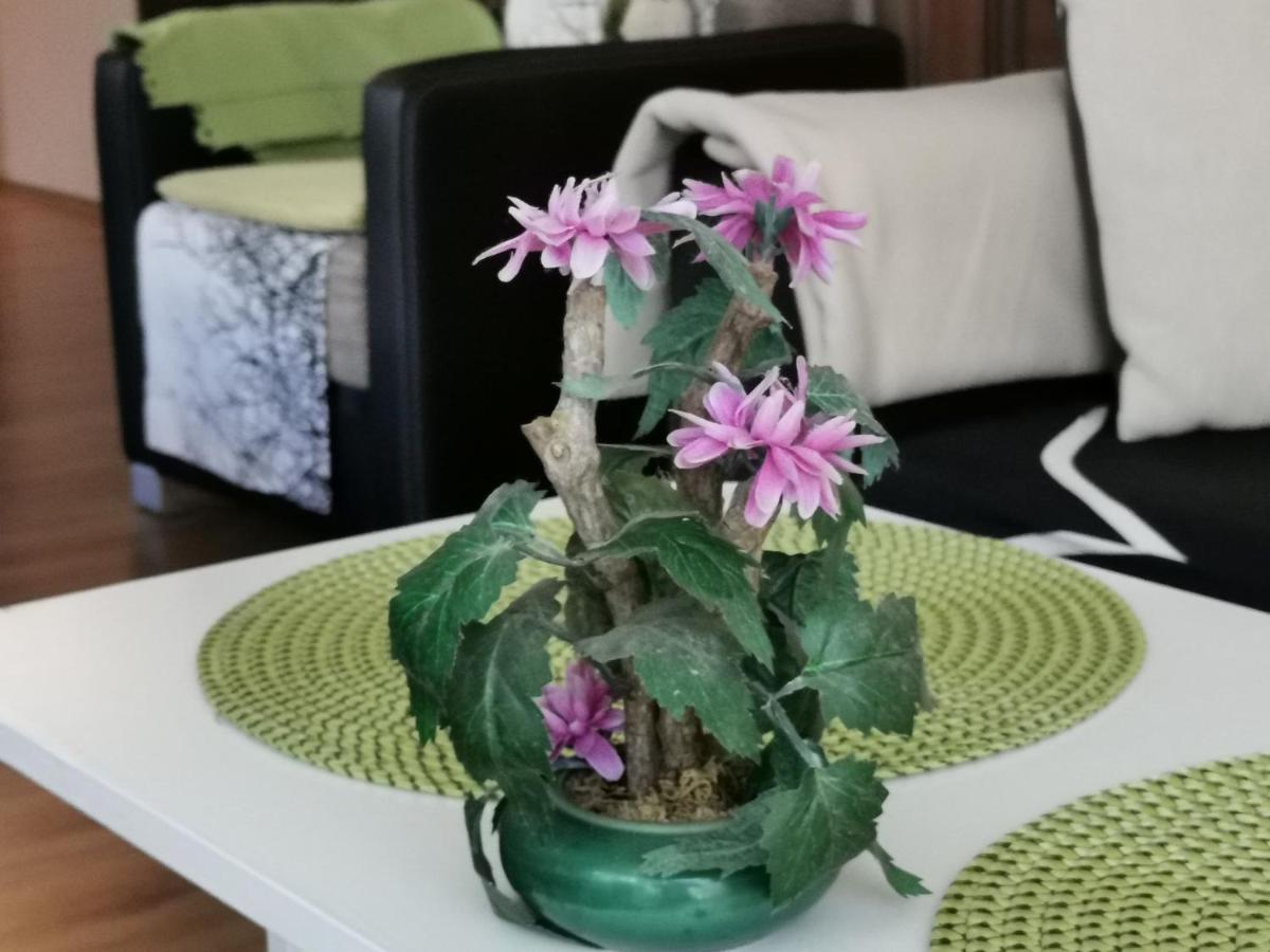 Zoeldlomb Apartman Siofok Bagian luar foto